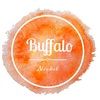 buffalo_nickel